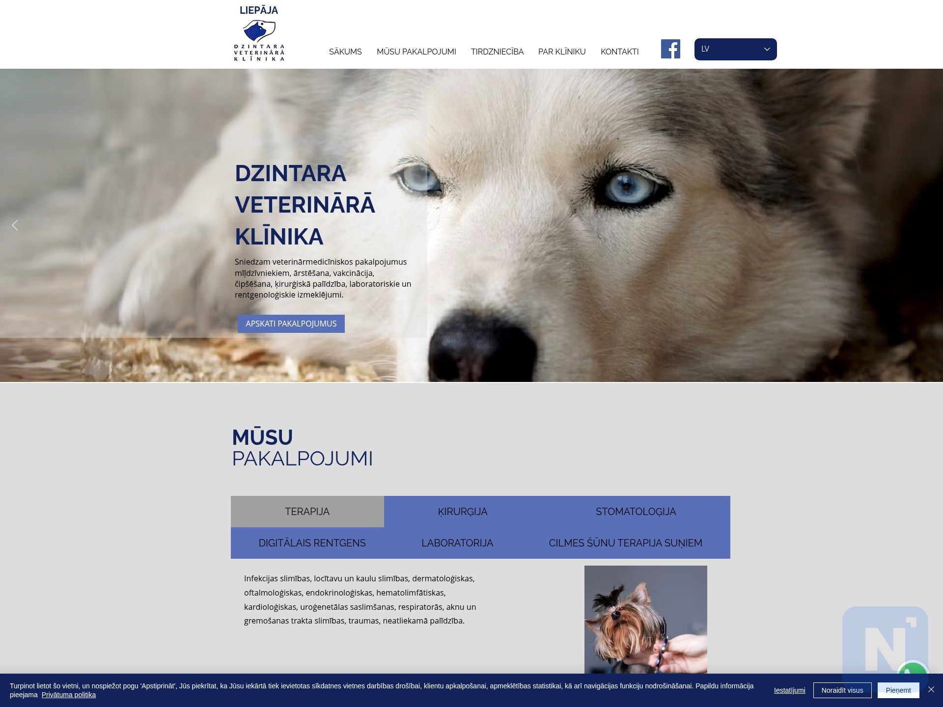 Dzintara veterinārā klīnika