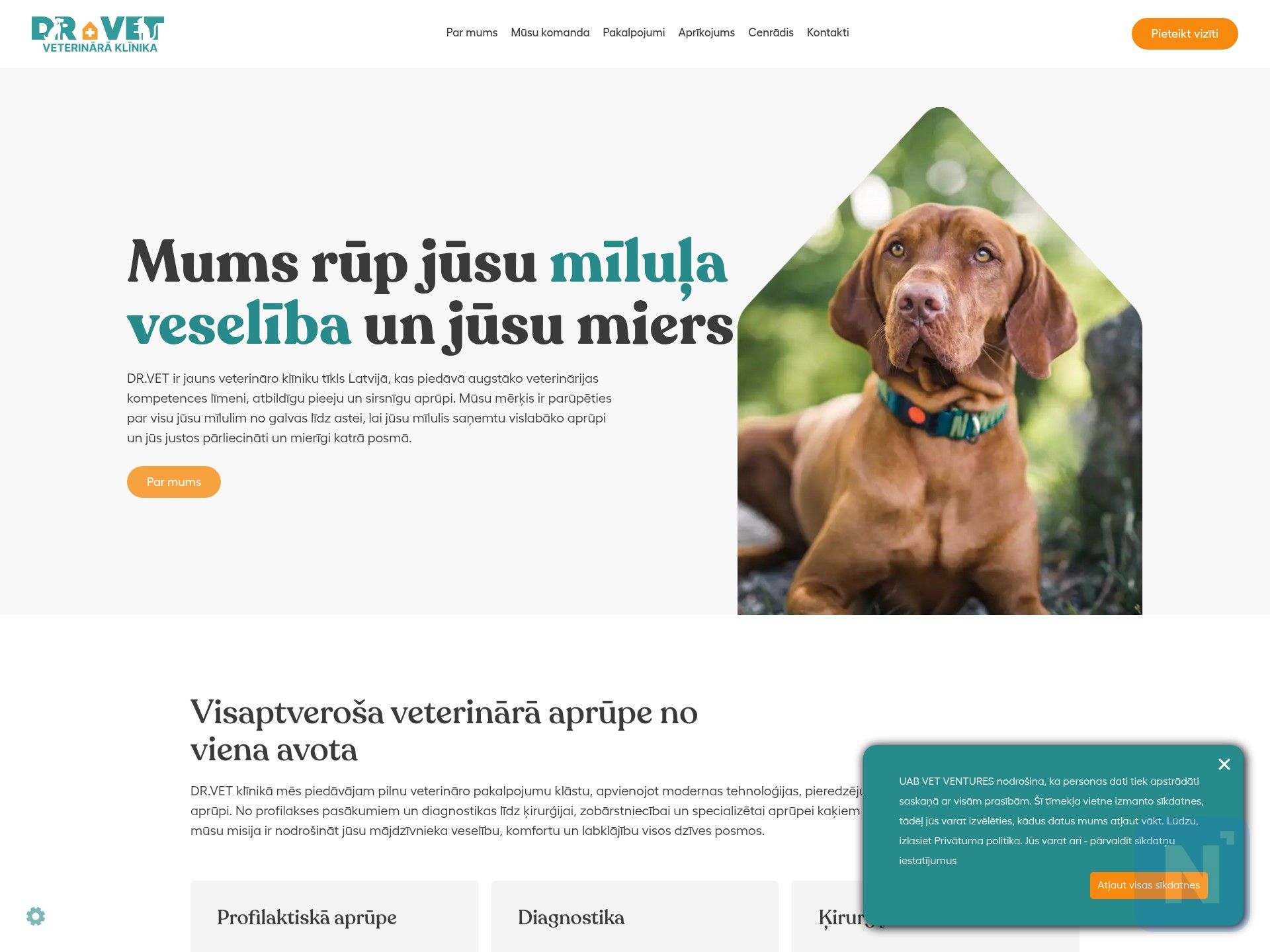 DR.Vet veterinārā klīnika